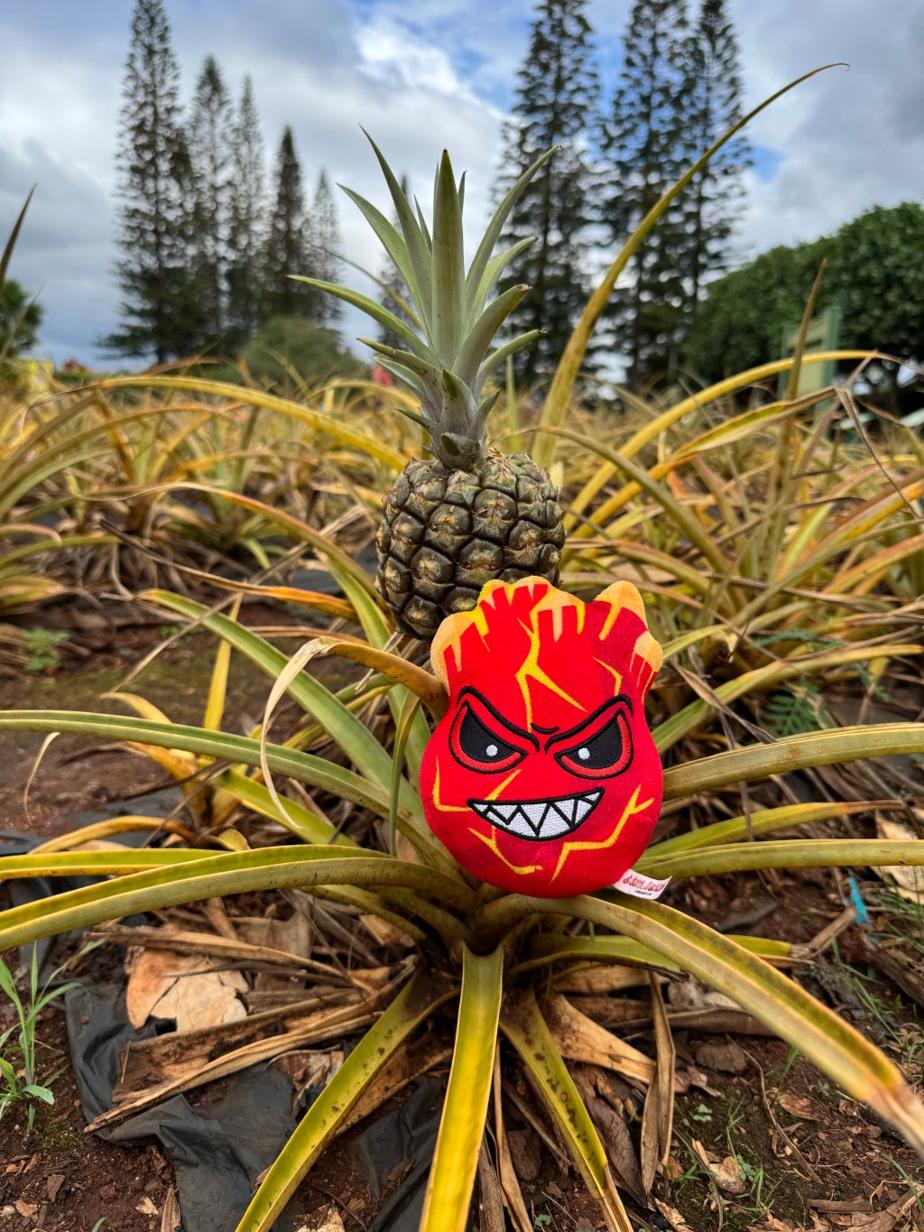 Why EGLD? | Why MultiversX is the Future of&nbsp;Blockchain