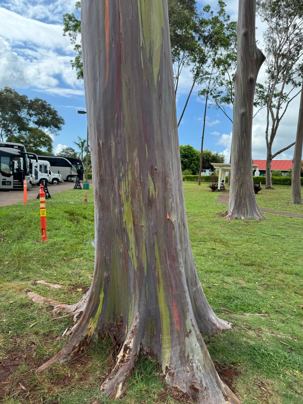 The 2025 U.S. Stablecoin Landscape: Opportunities, Challenges, and the Road&nbsp;Ahead